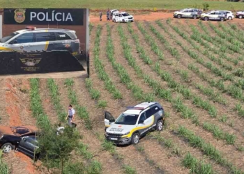 trafico tor