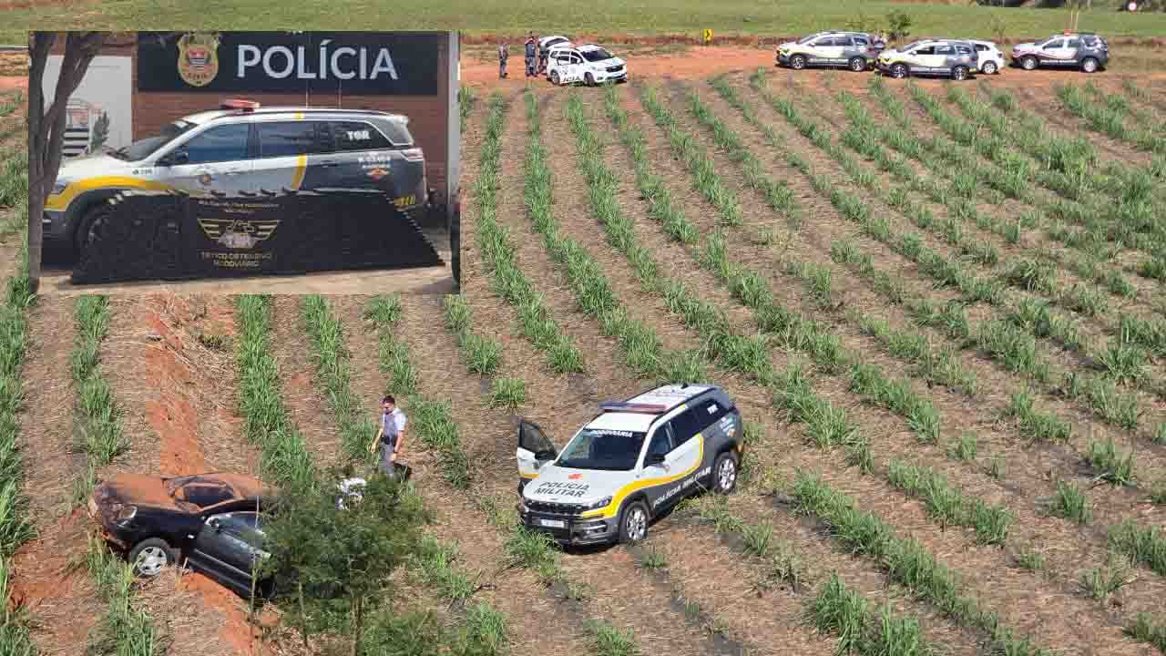 trafico tor