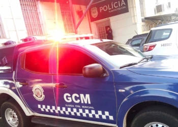 GCM de Brauna