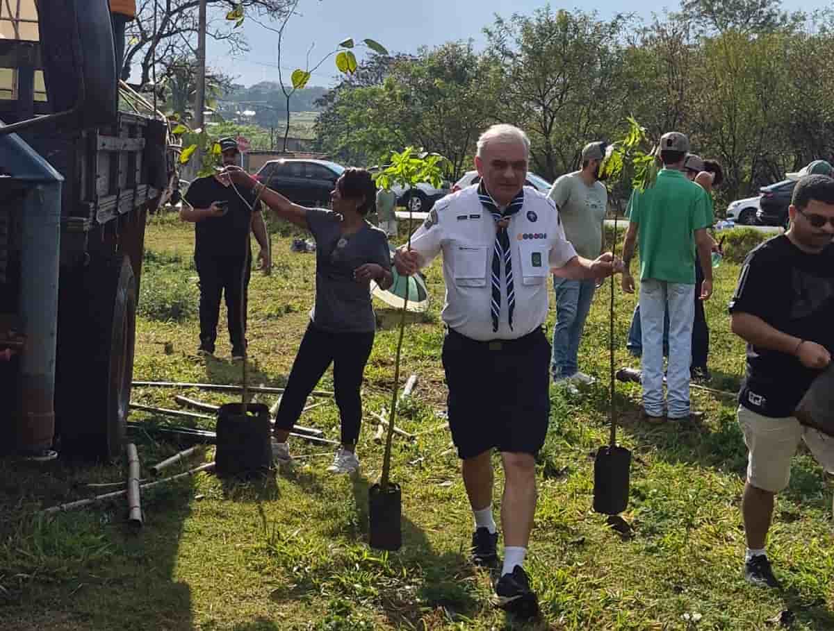 Ipês, jatobás e paineiras: Araçatuba amplia arborização com 50 novas mudas Plantio ata