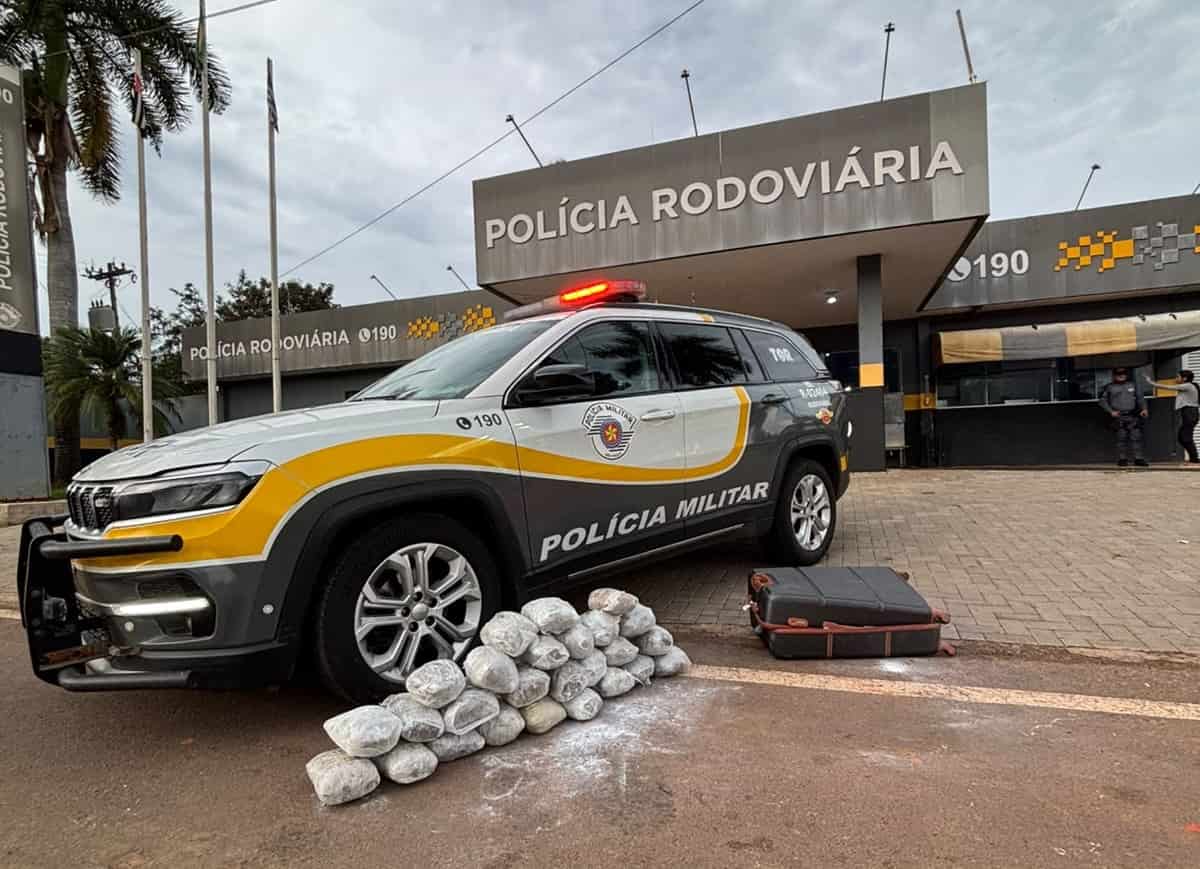 TOR apreende