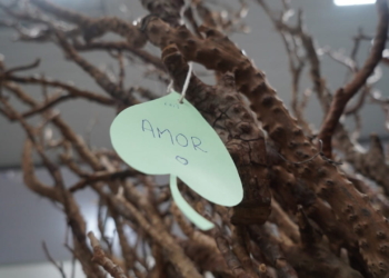 amor