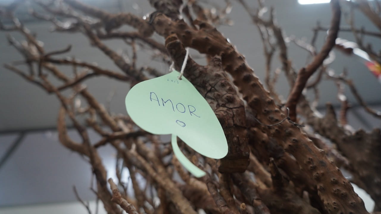 História de Laís, de 3 anos, inspira lei de doação de órgãos em Araçatuba amor
