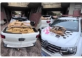 Motorista é preso ao transportar carga de maconha e fuzil em Teodoro Sampaio (SP) — Foto: Reprodução/Polícia Militar
