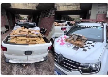 Motorista é preso ao transportar carga de maconha e fuzil em Teodoro Sampaio (SP) — Foto: Reprodução/Polícia Militar