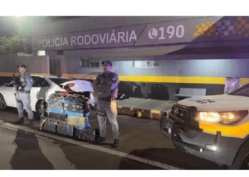 apreensao maconha