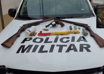 armas policia ambiental