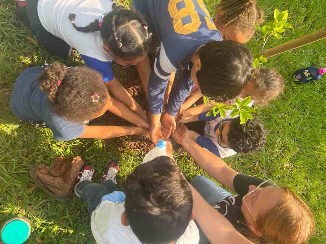 Dia da Árvore leva alunos para trilha e plantio de mudas em Araçatuba arvore plantio