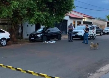atropelamento