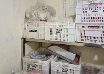 Carne vencida era ‘maquiada’ e coração suíno vendido como carne bovina no interior Foto: Polícia Civil/Divulgação