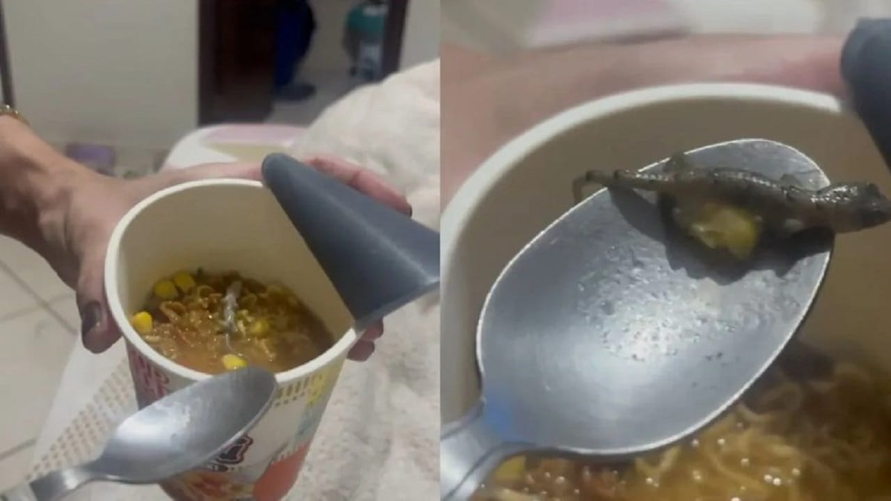 Mulher encontra lagartixa em macarrão e Justiça manda empresa pagar R$ 3 mil Foto: Reprodução TJGO
