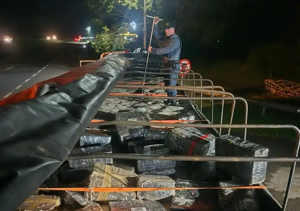 PM encontra mais de 1,8 tonelada de maconha escondida em carga de arroz maconha apreende