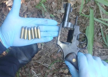 revolver 38