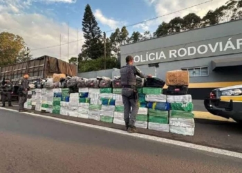 Foto: Garça News