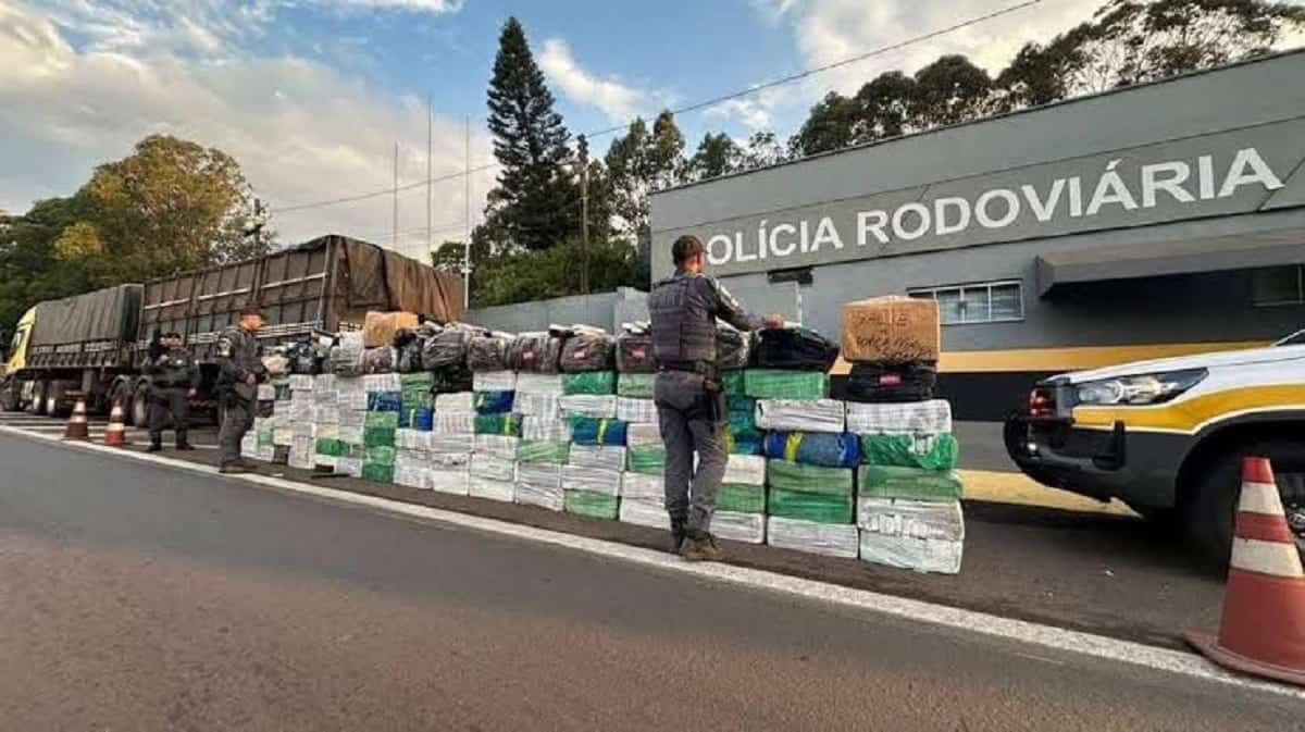 Quase 3 toneladas de maconha são achadas em carga de aveia no interior de SP Foto: Garça News