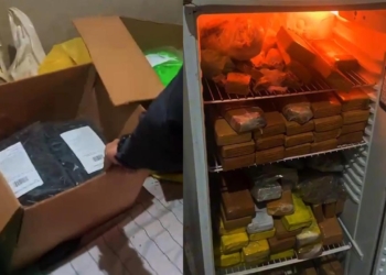 trafico no verde parque
