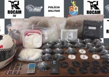 Pinos birig rocam
