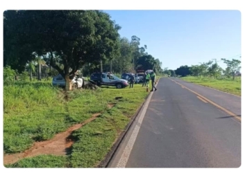 Acidente na Rodovia Júlio Budiski (SP-501), em Santo Expedito (SP), foi registrado neste domingo (18) — Foto: Polícia Rodoviária