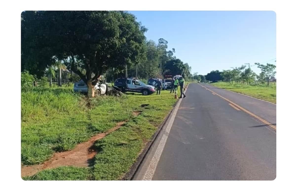 Advogada de 26 anos morre após carro bater contra árvore em rodovia de SP Acidente na Rodovia Júlio Budiski (SP-501), em Santo Expedito (SP), foi registrado neste domingo (18) — Foto: Polícia Rodoviária