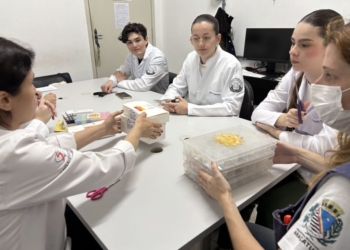 agente desenvolve rotina de organizao de medicamentos para idosos sem cuidadores
