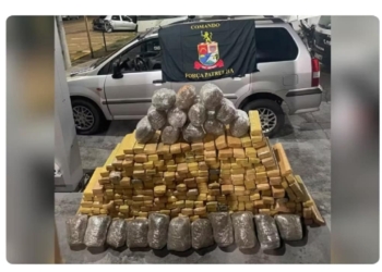 Grande quantidade de maconha estava escondida em carro abandonado em estrada de terra — Foto: Polícia Militar/Divulgação