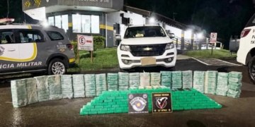 apreensao drogas estadoSP