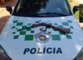 arma ambiental 1
