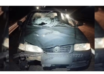 Pedestre morre após ser atropelado na SP-294 em Vera Cruz — Foto: Artesp/Reprodução