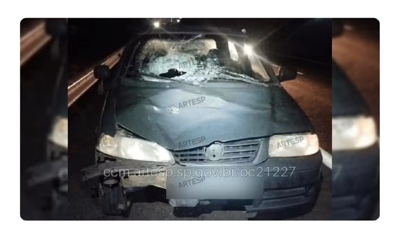 Pedestre morre atropelado na SP-294; motorista deixa local após acidente Pedestre morre após ser atropelado na SP-294 em Vera Cruz — Foto: Artesp/Reprodução