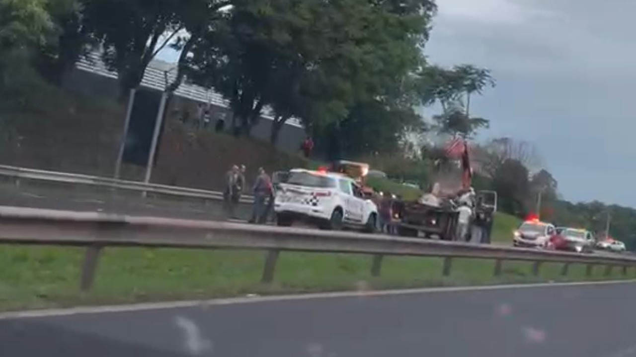 Animais escapam de frigorífico e provocam interdição de rodovias em Araçatuba boi solto