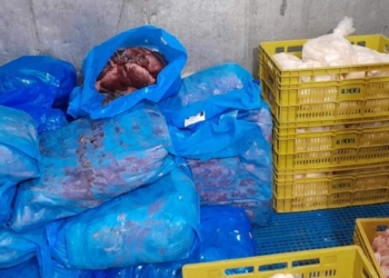 carne aterro