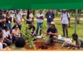 curso arboriza