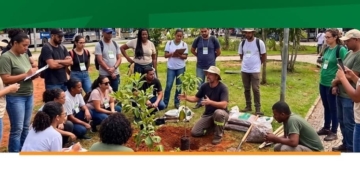 curso arboriza