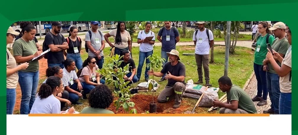 Araçatuba abre inscrições para curso gratuito de arborização urbana curso arboriza