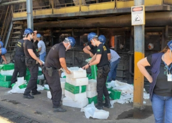 incineracao de drogas