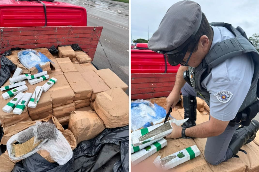 PM apreende quase 1 tonelada de maconha escondida em caminhão no interior de SP maconha apreendida em caminhao