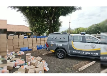 Mais de uma tonelada de maconha foi apreendida em Assis (SP) — Foto: Polícia Militar Rodoviária