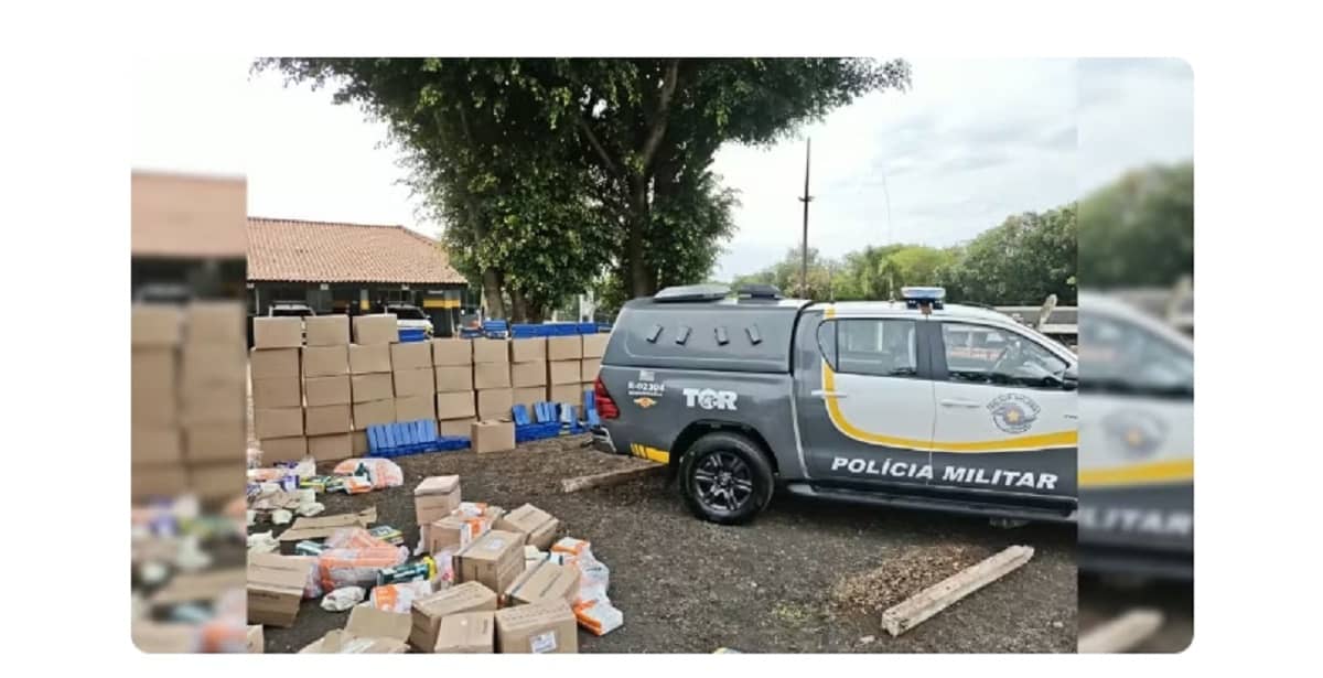 Caminhão com fraldas escondia mais de uma tonelada de maconha no interior de SP Mais de uma tonelada de maconha foi apreendida em Assis (SP) — Foto: Polícia Militar Rodoviária