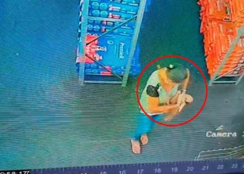 mulher furta filhote de pug dentro de loja em jales