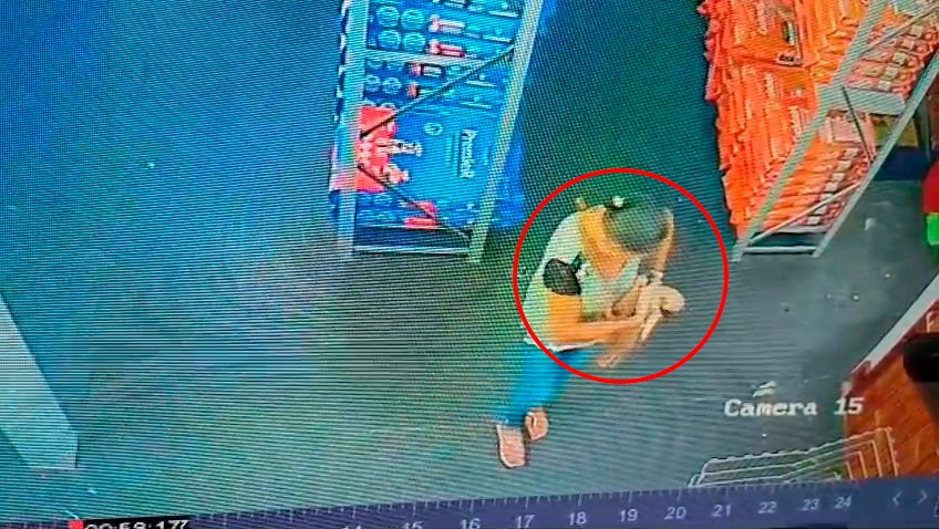 Mulher esconde filhote de Pug em bolsa, furta pet shop e acaba presa no interior de SP mulher furta filhote de pug dentro de loja em jales