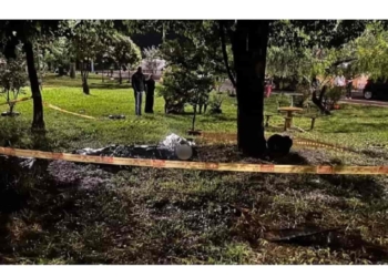 Casal morre após ser atingido por descarga elétrica em Ourinhos (SP) — Foto: Polícia Civil