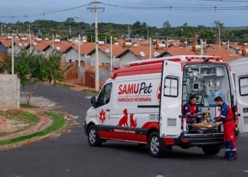 samu pet