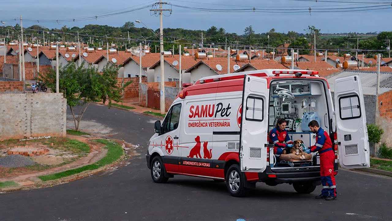 Vereadores aprovam diretrizes para a criação do Programa Samu pet em Araçatuba samu pet