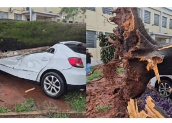 Fotos: Defesa Civil/Divulgação