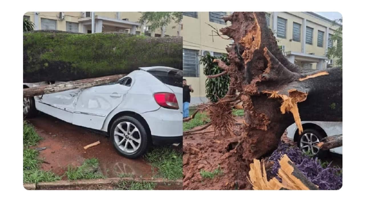 Temporal derruba árvores sobre carros e causa estragos em Promissão Fotos: Defesa Civil/Divulgação